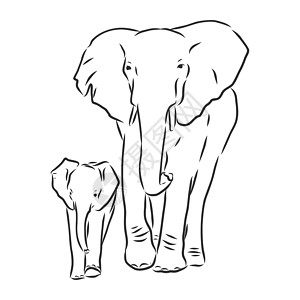大象与样式白色背景向量它制作图案上孤立的大纲样式中的小象动物园填色插图彩页艺术中风婴儿线条哺乳动物草图插画