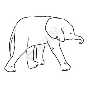 大象与样式白色背景向量它制作图案上孤立的大纲样式中的小象绘画草图孩子们线条野生动物孩子插图卡通片动物婴儿插画