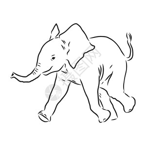 大象与样式白色背景向量它制作图案上孤立的大纲样式中的小象线条草图婴儿孩子绘画彩页动物插图哺乳动物孩子们插画