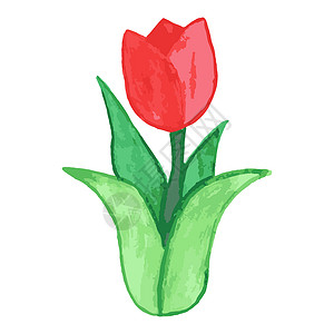 水彩郁金香花卉图案简单设计背景图片