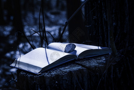 森林图书馆书夜间神秘的经典背景