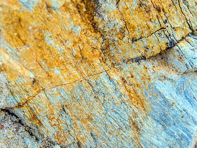 岩石山岩表面的石质纹理黄色土制棕色地质学石头灰色宏观爬坡树苗拆除背景图片