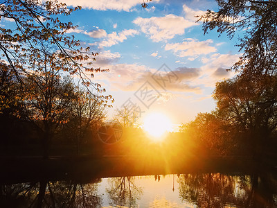 春天日落在河上日出天空树木森林季节反射池塘公园蓝色环境夏天高清图片素材