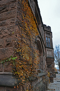 新泽西州普林斯顿 2011 年 11 月 15 日 普林斯顿大学是 Priva学院大厅校园传统研究教育机构球衣本科学校联盟高清图片素材
