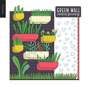 植物墙城市农业和园艺  垂直农场青菜文化水培法土壤盒子食物苗床叶子解决方案方法设计图片
