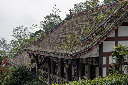 山上一座旧建筑屋顶上的植被生长 种植于山顶的植被图片素材