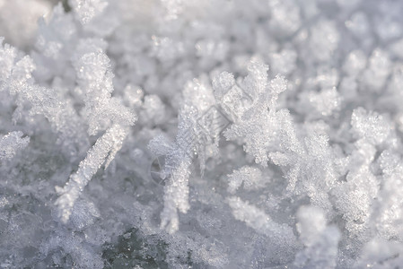 结冰的雪诺细节水晶白色雪花季节降雪宏观雪堆凉爽的高清图片素材