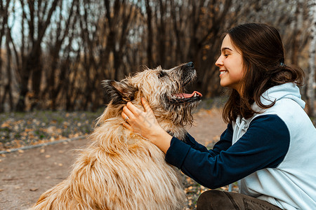 动物训练 一名志愿者女孩从动物收容所带着一只狗散步 在秋天的公园里带着狗的女孩 和狗一起散步 照顾动物喜悦闲暇幸福朋友们成人友谊户外高清图片素材