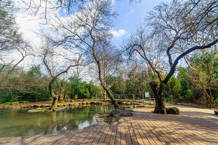 DANTel Dan自然储备的冲洗池背景