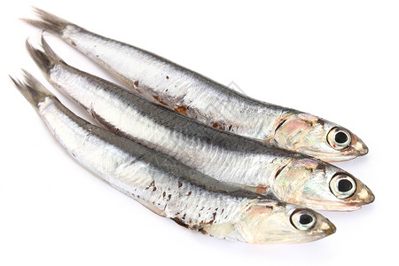 白色背景的凤尾鱼市场渔夫柠檬绿色海鲜营养饮食鱼片美食海洋健康高清图片素材