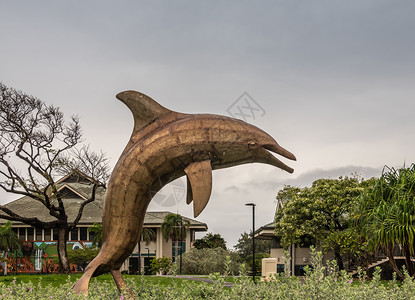 海豚雕塑夏威夷大学海豚雕像在夏威夷卡胡莱 毛伊 夏威夷背景