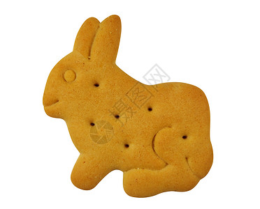 小兔子饼干动物形状饼干 - 兔子背景