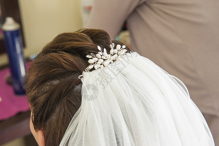 新娘头后背的毛发片背景图片