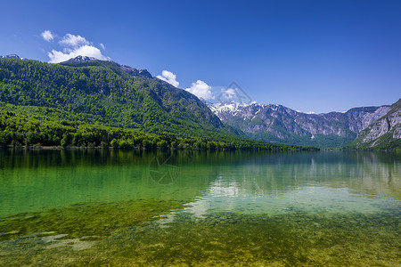 圣朱利安斯洛文尼亚的Bohinj湖 自然中的美丽国家森林季节旅行山脉目的地地标环境阳光天空背景