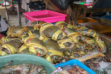金巴兰海鲜柜台上出售的新鲜螃蟹图案 巴厘岛海滩 当地鱼市上的新鲜螃蟹 束在塑料载体的新鲜的螃蟹待售营养店铺钓鱼街道美食甲壳海洋食贝类高清图片素材