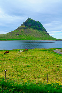 斯奈山冰岛教堂山高清图片