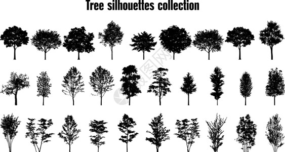乔木灌木树木剪影集合 一组 29 棵树 韦克托设计图片