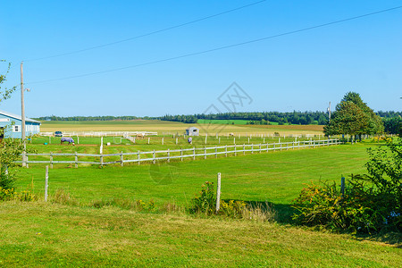 北卡莱顿附近的乡村和马匹高清图片