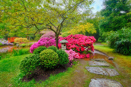 日式庭园日式花园 荷兰海牙Clingendael公园风景建筑学灯笼植物观光地标花坛游客胜地庭园背景