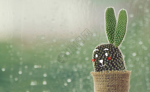 雨天的仙人掌与可爱的脸孔卡通 窗口背景下水 窗玻璃背景下着一滴雨背景图片
