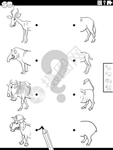 羚羊彩穴匹配一半的野生动物图片着色书页插画