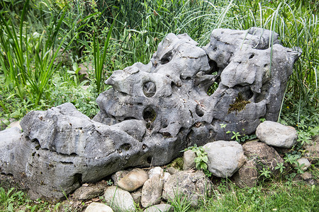 湿地的石头绿色花园沼泽格劳灰色抽油烟机草地生境岩石石质背景图片