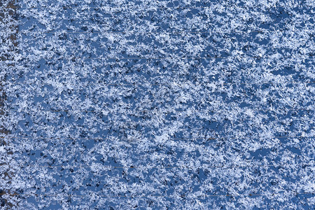 雪背景野猪冻结蓝色边界冰柱折射冰山季节磨砂天气魔法背景图片