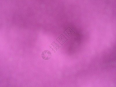 抽象紫色模糊背景空白紫丁香背景图片
