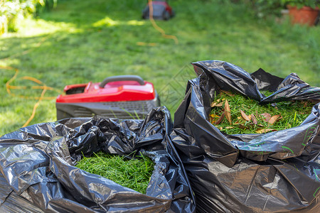 园林垃圾花园维护刀具生长园丁垃圾设备家务服务绿化工作琐事背景