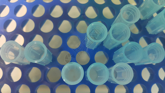 在带有空洞的微滴盒中 特写蓝色微升小提示的视图技术增殖实验微管仪器研究员营养素液体生命科学多管背景图片
