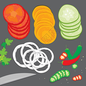 胡萝卜片用于烹调番茄洋葱胡萝卜辣椒黄瓜欧芹 Vecto 的蔬菜片插画