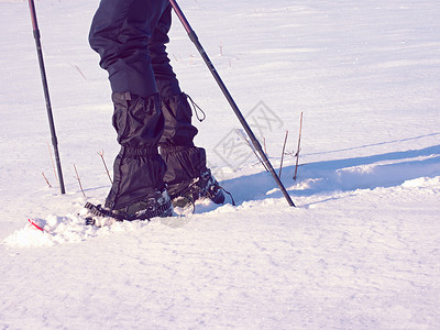 带雪鞋的男子腿在雪中行走 关于冬季滑雪远足的详细情况粉雪阴影漂移雪裤场地男士踪迹雪花雪鞋近景登山杖高清图片素材