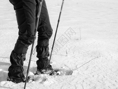 带雪鞋的男子腿在雪中行走 关于冬季滑雪远足的详细情况登山杖冒险场地成年人漂移爬坡近景动作踪迹雪裤跋涉高清图片素材