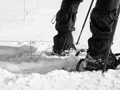 带雪鞋的男子腿在雪中行走 关于冬季滑雪远足的详细情况动作雪裤粉雪雪花冒险漂移男士登山杖近景装备成年人高清图片素材