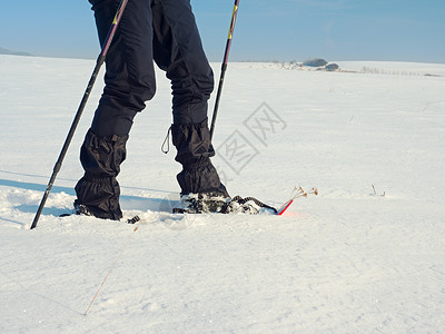 长着雪鞋的男子在雪中行走 关于冬季滑雪 雪鞋漫步的详细情况腿高清图片素材