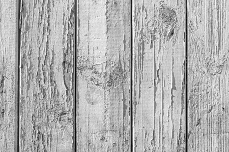 板的单色纹理 抽象背景木板木头桌子黑色白色地面控制板材料木材墙纸背景图片