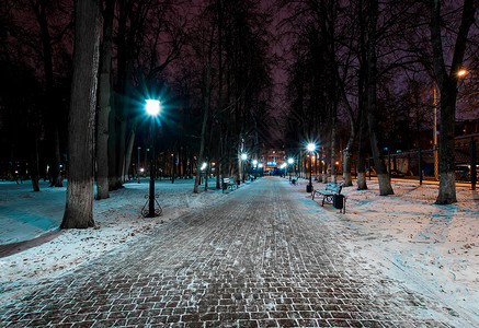 堕落冬天的夜间公园下着雪花环小路公园降雪长椅场景蓝色木头森林季节背景