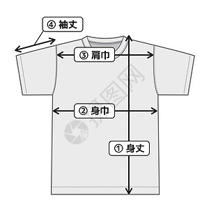尺寸表尺码 char 的短袖 T 恤插图纺织品衬衫载体嘲笑服饰指导数据白色宽度商业插画
