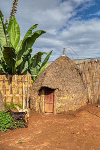 埃塞俄比亚多尔泽村大象形小屋树叶茅草活动建筑大面竹子木头建筑学沉降套路背景图片