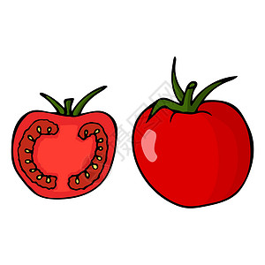 番茄叶带干叶和叶子的番茄 手画轮廓涂鸦图标 颜色草图宏观市场卡通片种子蔬菜收成植物食物团体设计图片