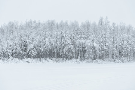 冰湖和森林覆盖着大雪和恶劣的湿度松树环境木头线索季节降雪紫色天气天空国家背景图片