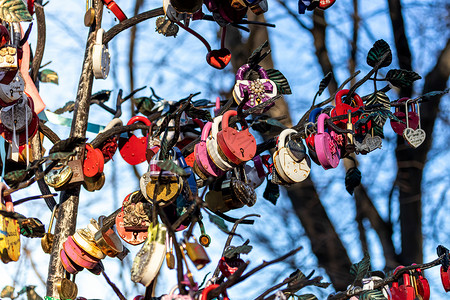 婚礼树上有许多彩色的婚纱锁挂锁仪式红色金属家庭锁孔婚姻丝带背景图片