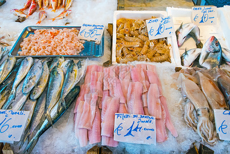 出售的鱼和海鲜贝类海洋章鱼市场小龙虾棕褐色盐水销售美食鱿鱼意大利高清图片素材