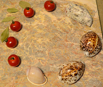 蔬菜 贝壳 大理石表面的鸡蛋 圣女果 月桂叶 牡蛎 贝壳 鸡蛋树叶桃子设计推介会菜肴白色桂冠设计师作品空间背景图片