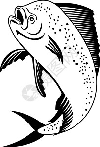 或Mahimahi 跳上黑白复古动物插图艺术品珊瑚科野生动物鲇鱼鲳鱼海洋生物黑与白背景图片