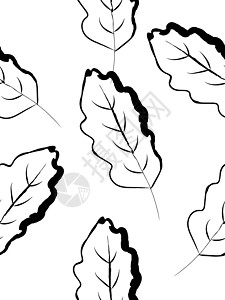 黑白橡叶无缝的黑色和白色橡树叶图案背景图片
