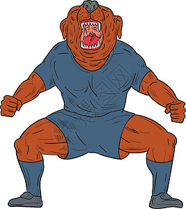 哈卡要塞斗牛犬足球运动员庆祝目标卡通动物插图野生动物卡通片运动艺术品膝盖弯曲犬类玩家插画