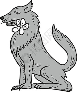 狗嘴套木材 野生木板花花画绘制画线犬类插图手工东狼灰狼艺术品手绘刮板捕食者插画