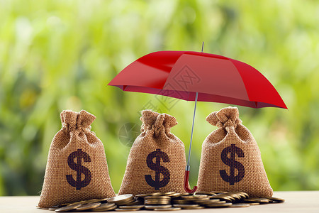 手中的硬币袋风险保护 财富管理和长期货币投资 金融概念 在红伞下安排硬币和美元袋 描述可持续增长的资产安全背景