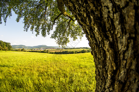 德国高地斯瓦比亚阿尔巴Swabian Alb旅游天空蓝色农业牧歌全景步行绿色乡村背景